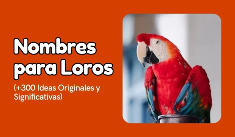 Nombres para Loros